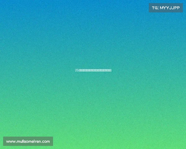 25号赛事圆满收官冠军诞生精彩瞬间回顾成绩出炉